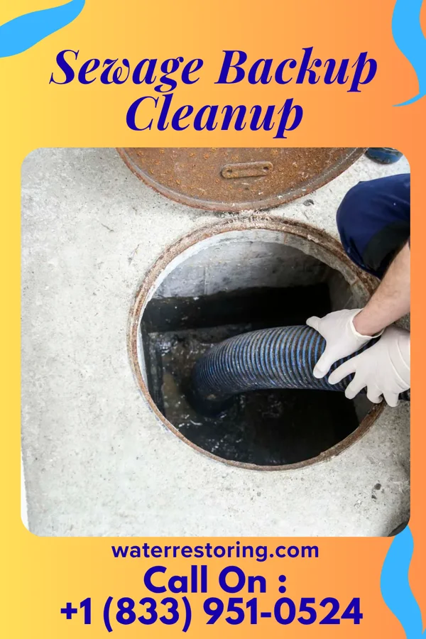Sewage Backup Cleanup in Marklesburg, PA