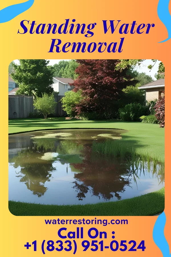 Standing Water Removal in Marklesburg, PA